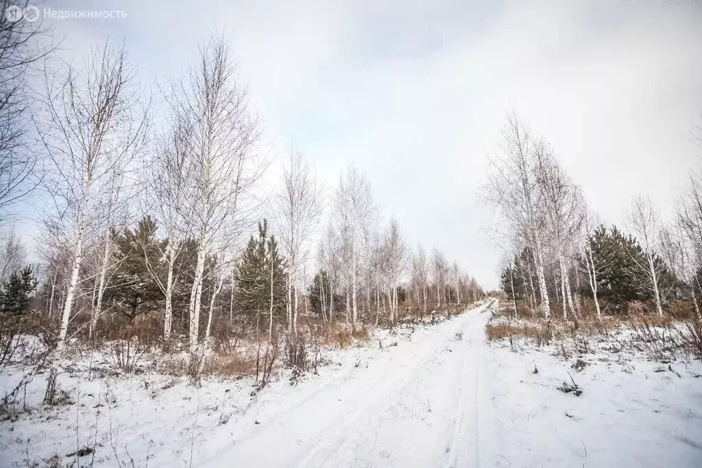 Участок в Искитимский район, Евсинский сельсовет, деревня Ургун (20 м) - Фото 0