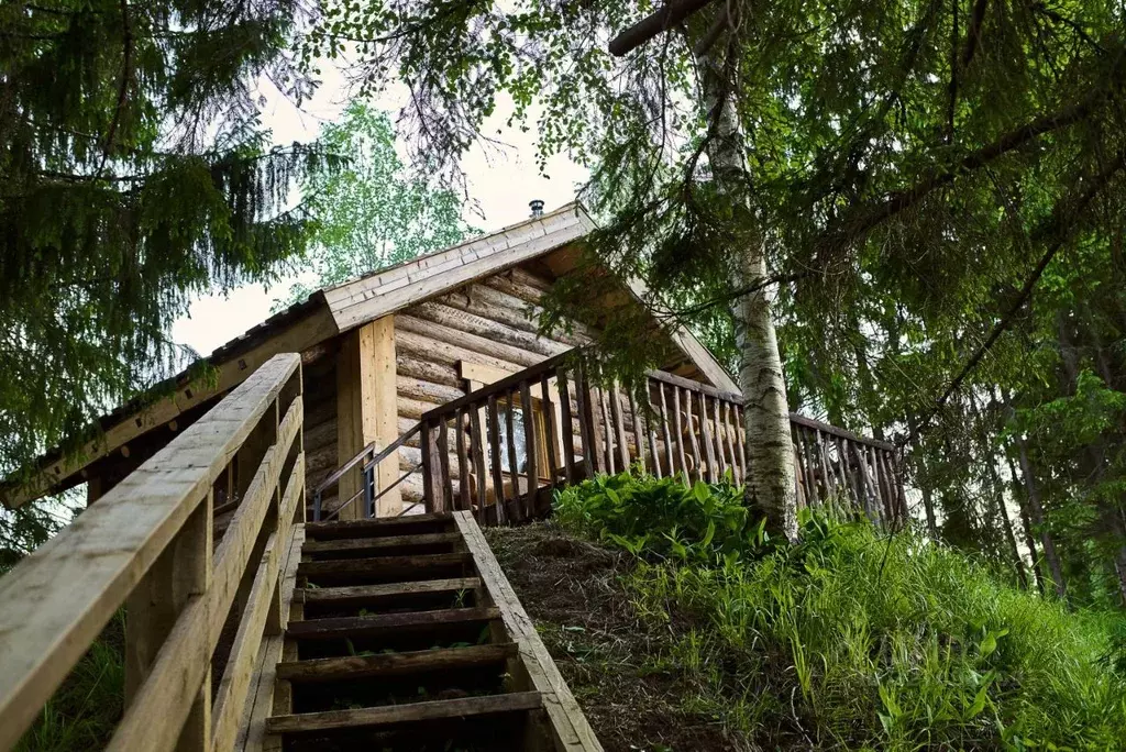 Дом в Ленинградская область, Волосовский район, Рабитицкое с/пос, д. ... - Фото 1