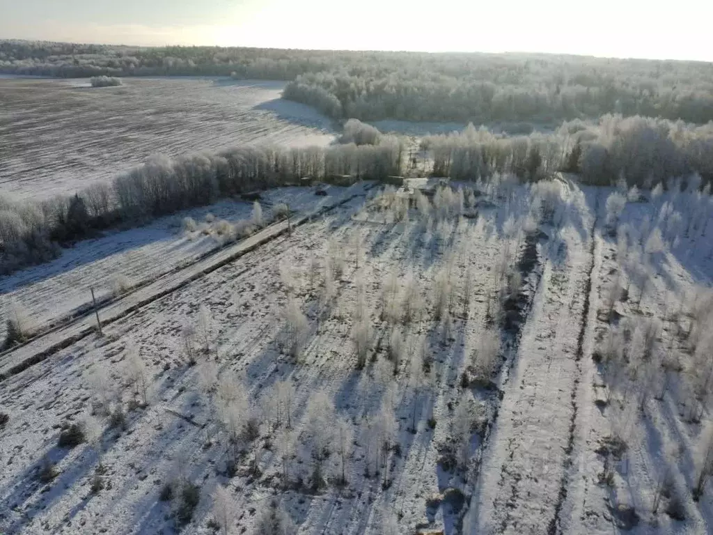Участок в Вологодская область, д. Жилино ул. Николаевская (10.0 сот.) - Фото 1
