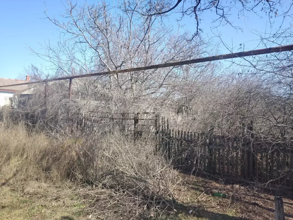 Участок в Краснодарский край, Ейский район, Должанская ст-ца Садовая ... - Фото 1