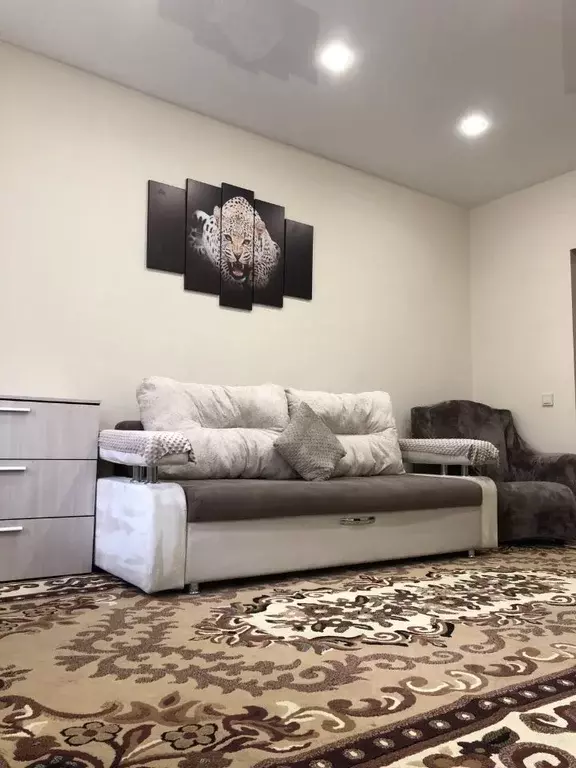 Студия Иркутская область, Иркутск проезд Юрия Тена, 14/4 (42.0 м) - Фото 2