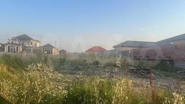 Участок 12 сот. (СНТ, ДНП) - Фото 0