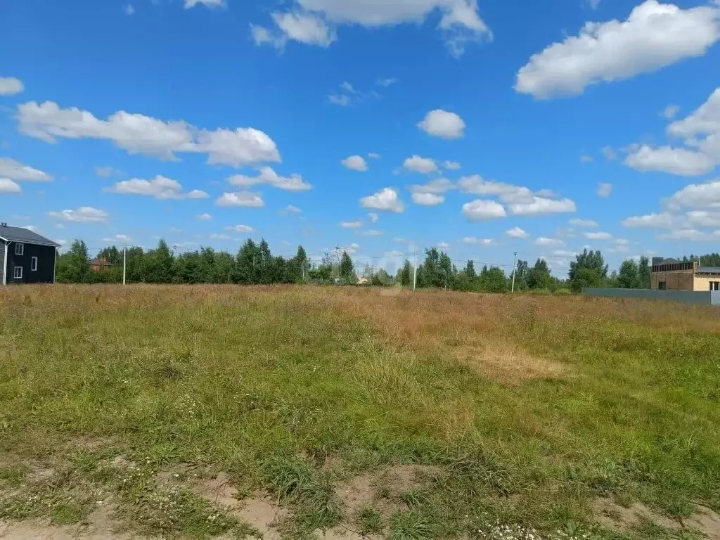 Участок в Московская область, Орехово-Зуевский городской округ, д. ... - Фото 1