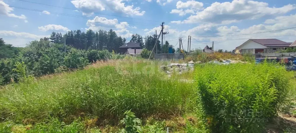 Участок в Воронежская область, Рамонский район, с. Ямное ул. Ленина ... - Фото 1