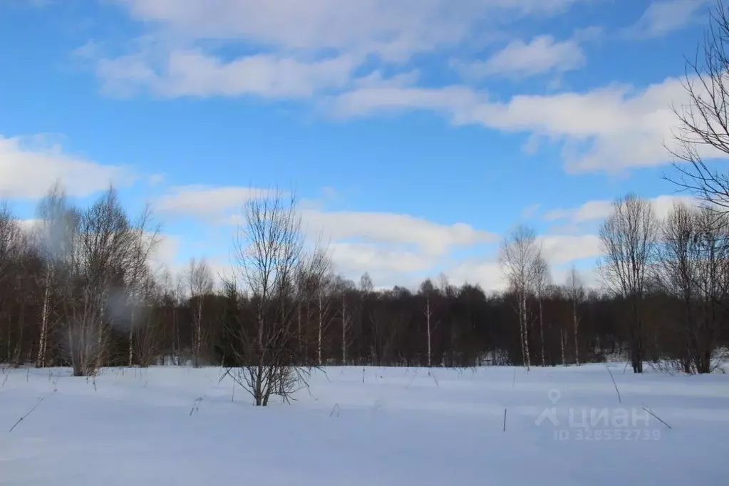 Участок в Московская область, Шаховская муниципальный округ, д. ... - Фото 2