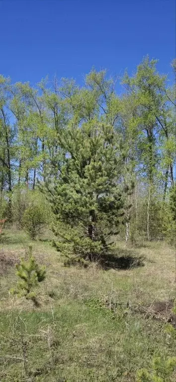 Участок 7 сот. (ИЖС) - Фото 1