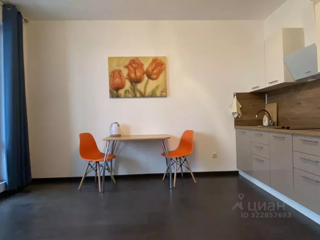 Студия Санкт-Петербург ул. Верхне-Каменская, 9к1 (25.0 м) - Фото 2