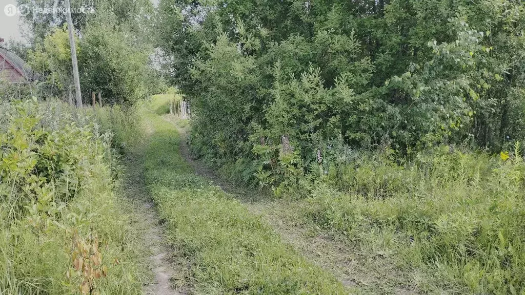 Участок в Добрунь, садово-дачное товарищество Радуга-2 (6 м) - Фото 0