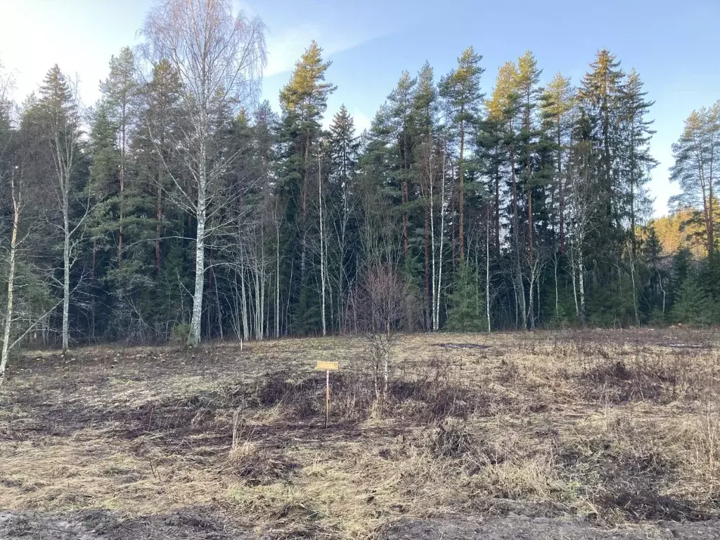 Участок в Карелия, Лахденпохский муниципальный округ, пос. Куркиеки, ... - Фото 2