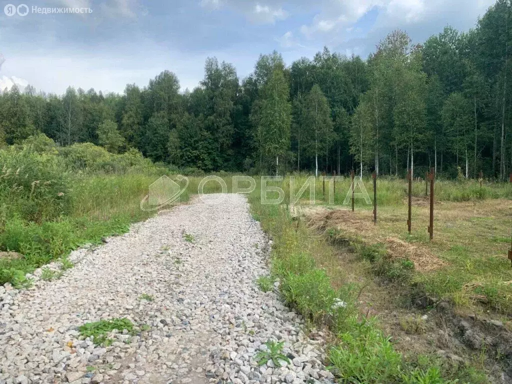 Участок в Тюменский район, деревня Молчанова (10 м) - Фото 0