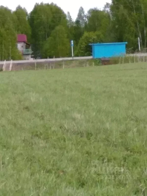 Участок в Пермский край, Карагайский муниципальный округ, с. ... - Фото 1