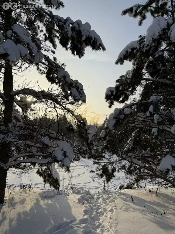 Участок в Московская область, городской округ Клин, дачное ... - Фото 2