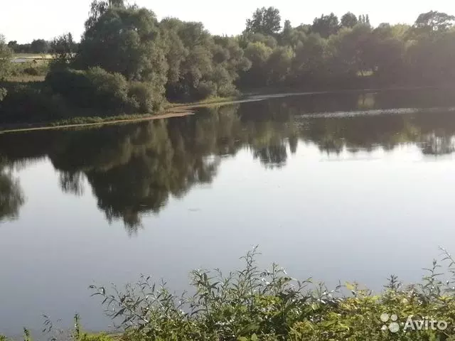 муравьевка бугурусланский район церковь. деревня муравьевка. муравьевка амурская область. липецкая область хлевенский район село верхняя колыбелка. деревня муравьевка липецкой области.