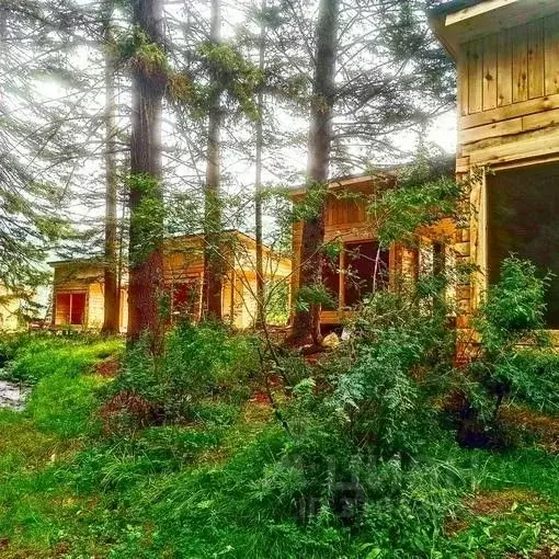 Дом в Алтай, Улаганский район, с. Акташ Лесная ул., 1Ж (10 м) - Фото 1