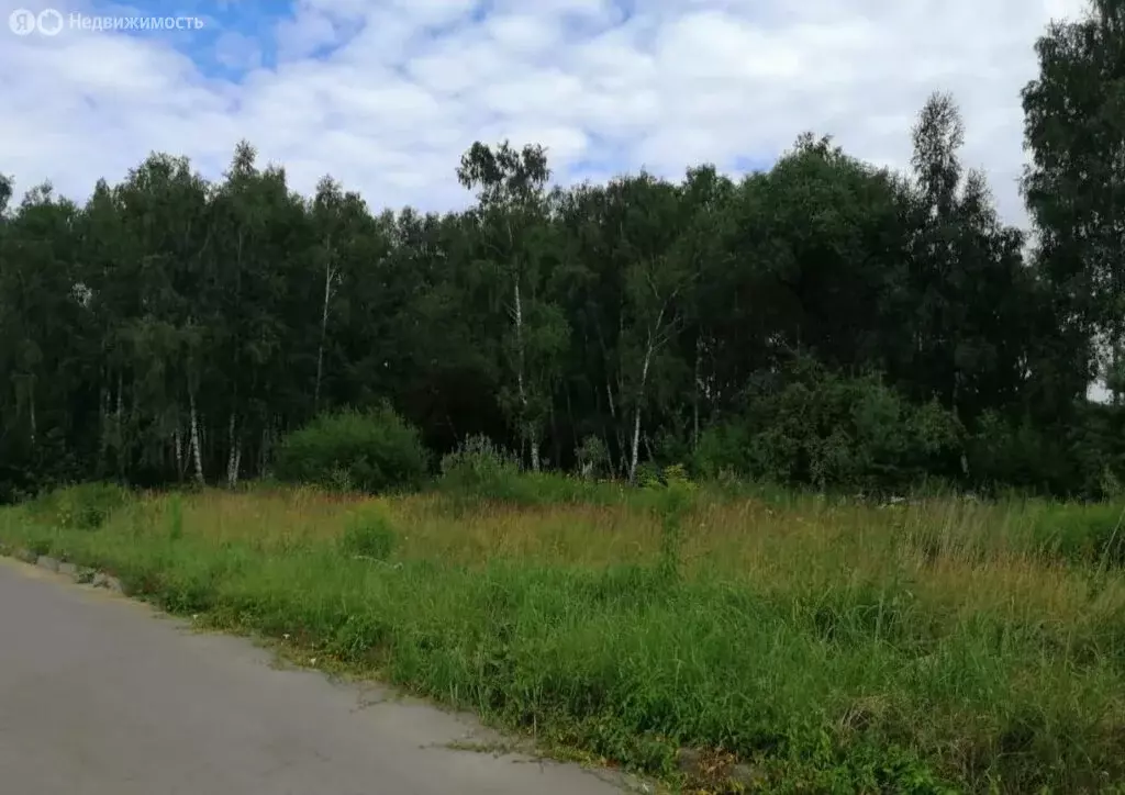 Участок в Московская область, городской округ Подольск, деревня ... - Фото 2