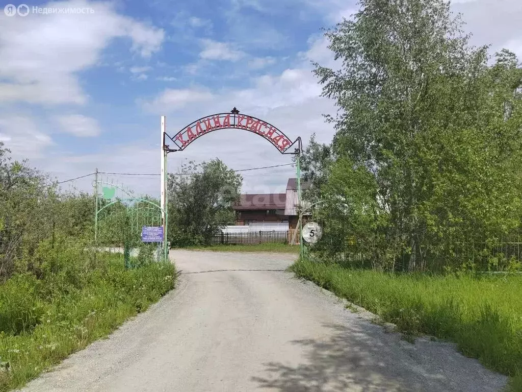 Участок в Колыванский район, садовое товарищество Калина красная (5.8 ... - Фото 1