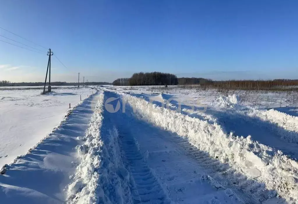 Участок в Тюменская область, Тюменский район, с. Горьковка Сибирская ... - Фото 0