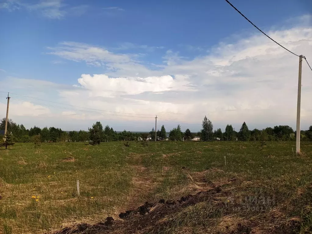 Участок в Пензенская область, с. Бессоновка проезд 5-й Российский ... - Фото 2