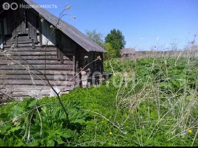 Участок в Трубникоборское сельское поселение, деревня Чудской Бор, ... - Фото 1