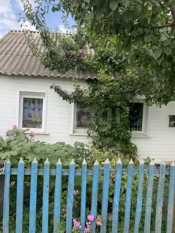 Дом в Белгородская область, Вейделевка рп ул. Свободы, 89 (47 м) - Фото 0