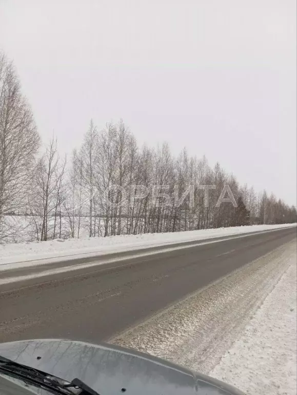 Участок в Тюменская область, Тюменский район, Воскресенье-1 ДНТ ул. ... - Фото 1