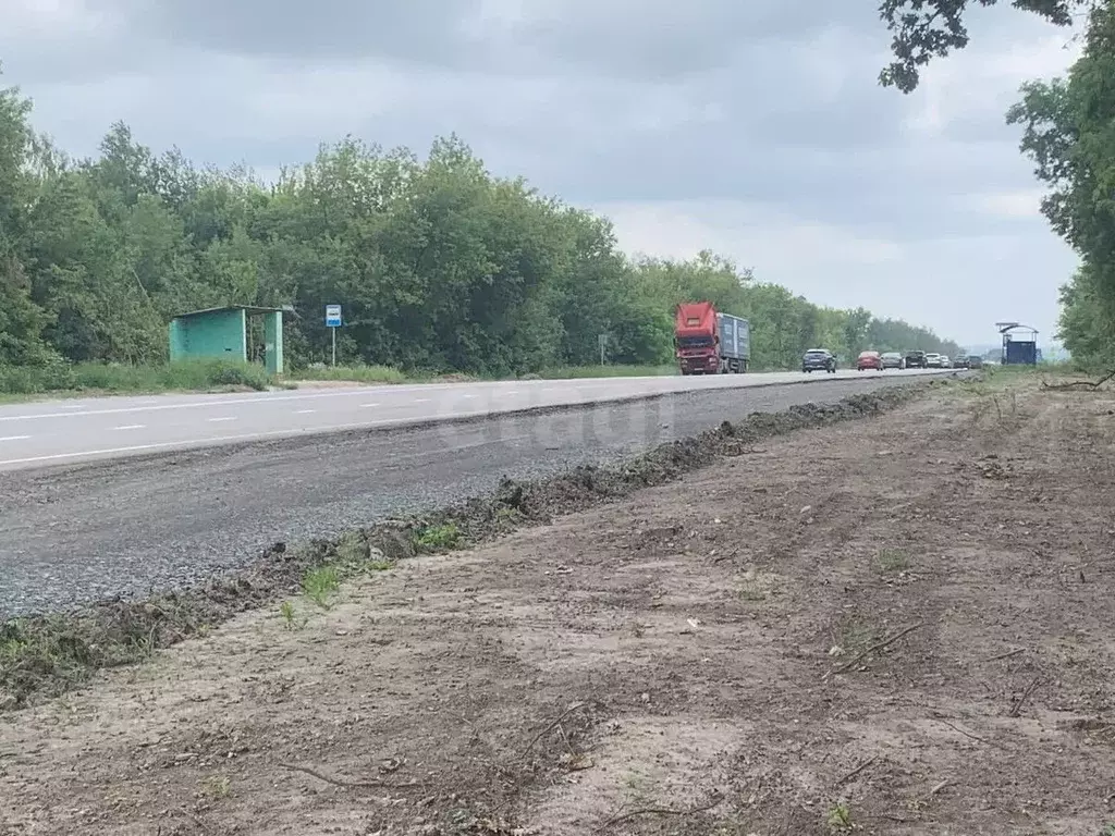 Участок в Курская область, Курский район, Нижнемедведицкий сельсовет, ... - Фото 1