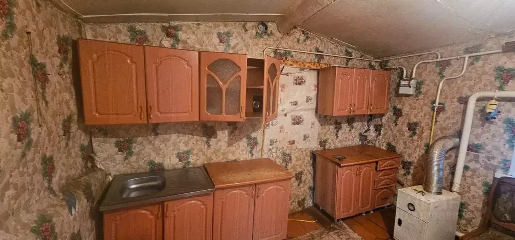 Дом в Оренбургская область, Соль-Илецкий муниципальный округ, с. ... - Фото 1