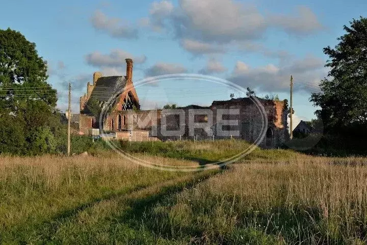 Участок 8,8 сот. (СНТ, ДНП) - Фото 0