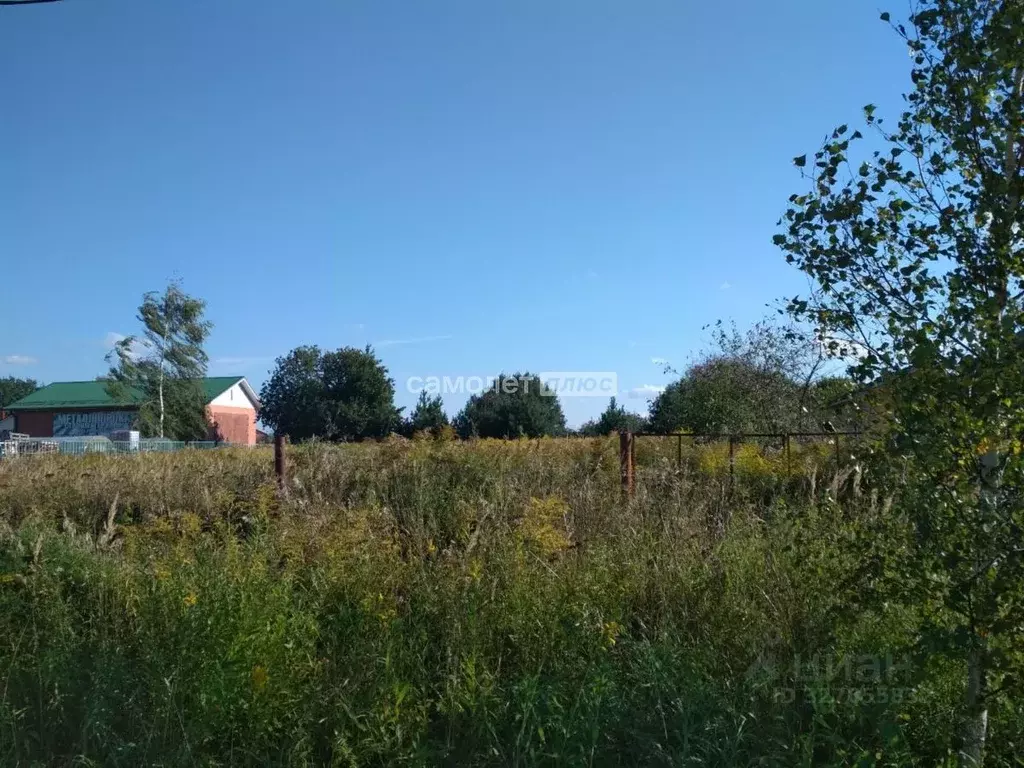 Участок в Московская область, Павлово-Посадский городской округ, д. ... - Фото 2