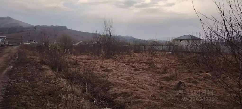 Участок в Алтай, Майминский район, пос. Алферово ул. А.И. Духанина ... - Фото 1