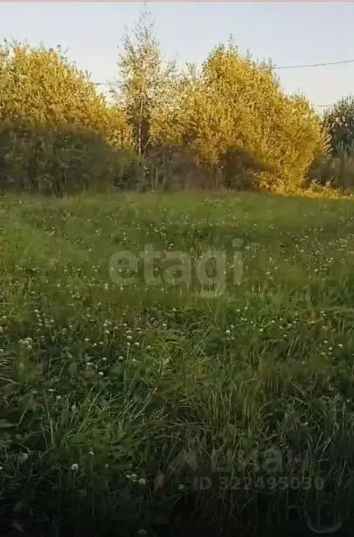 Участок в Вологодская область, пос. Огарково  (14.0 сот.) - Фото 2