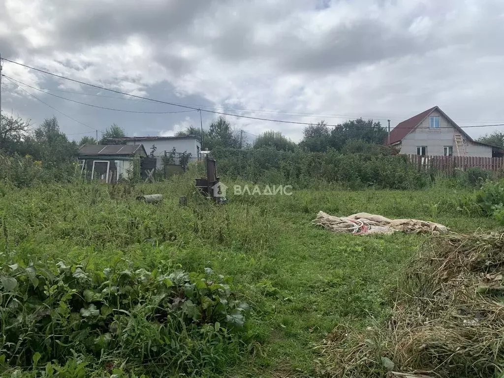 Участок в Владимирская область, Суздальский район, Павловское ... - Фото 0