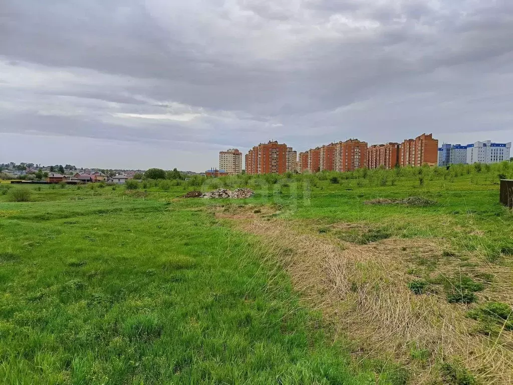 Участок в Мордовия, Лямбирский район, с. Берсеневка  (12.0 сот.) - Фото 1
