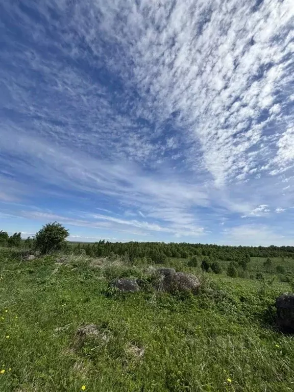 Участок в Ленинградская область, Ломоносовский район, Лопухинское ... - Фото 1