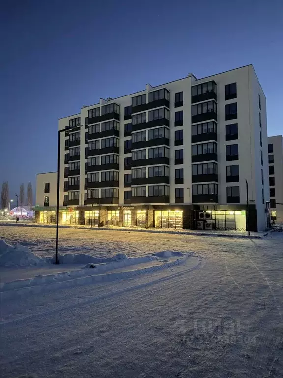 1-к кв. Воронежская область, Борисоглебск Аэродромная ул., 18Г (38.0 ... - Фото 1