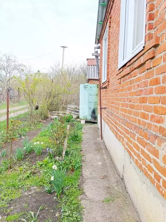 Дом в Майкоп, садово-дачное товарищество Звёздочка, улица Роз (35.5 м) - Фото 1
