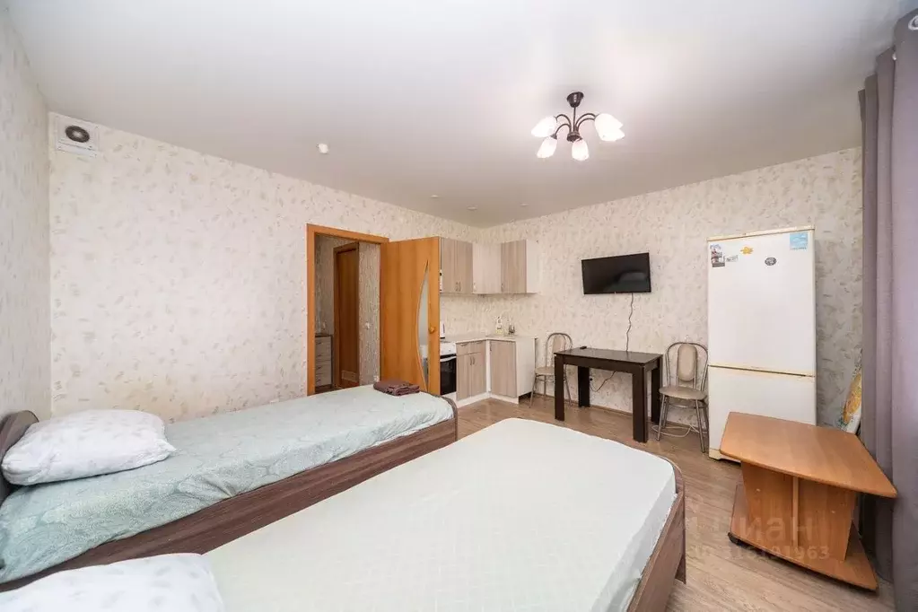 Студия Пермский край, с. Фролы ул. Весенняя, 34 (24.0 м) - Фото 2