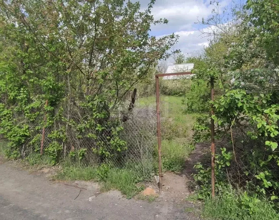 Участок в Ростовская область, Новочеркасск Виноградная Лоза СНТ, 194 ... - Фото 1