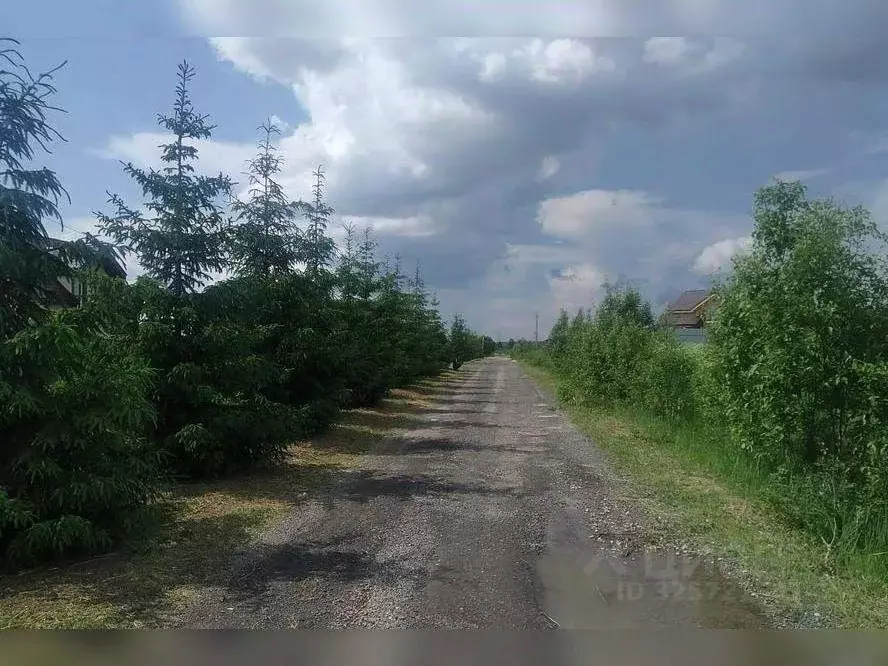 Участок в Московская область, Истра муниципальный округ, д. Шишаиха ... - Фото 1