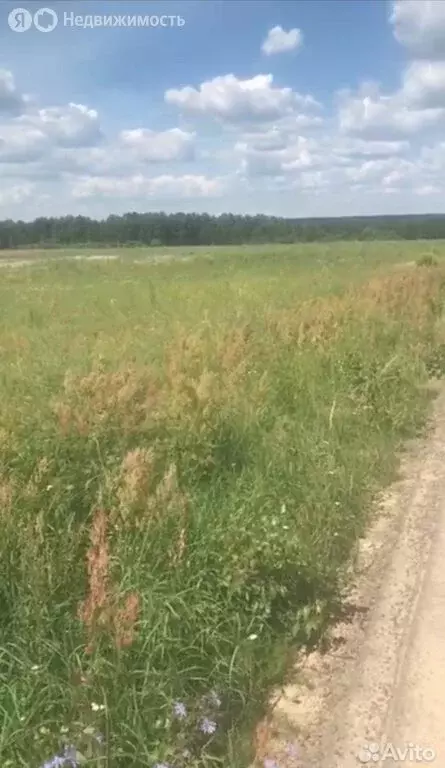 Участок в деревня Ивашево (170 м) - Фото 0