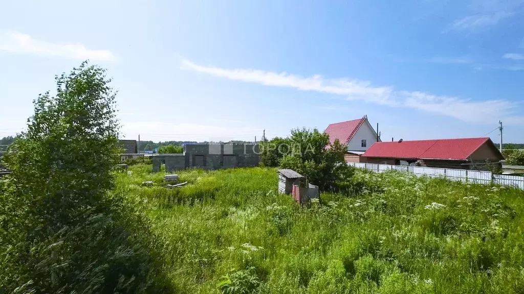 Участок в Новосибирская область, Мошковский район, пос. Октябрьский ... - Фото 1