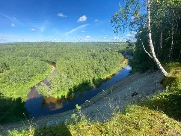 Участок в Ленинградская область, Лодейнопольский район, Алеховщинское ... - Фото 0