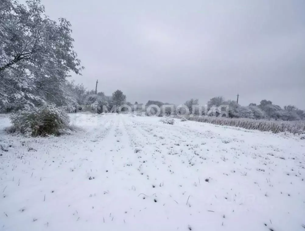 Участок в Амурская область, Белогорск Металлургическая ул. (1.2 сот.) - Фото 1