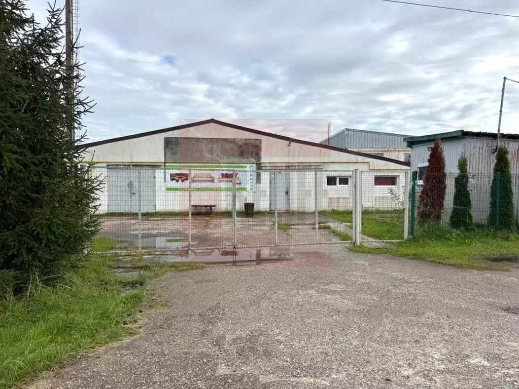 Склад в Калининградская область, Гурьевский муниципальный округ, пос. ... - Фото 1