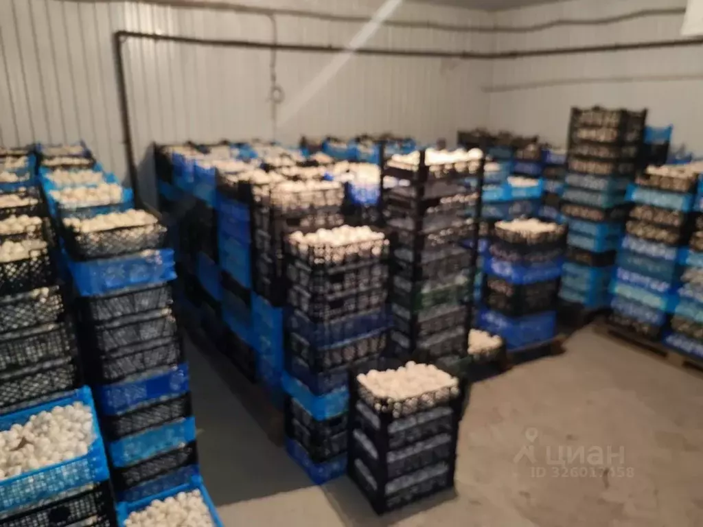 Помещение свободного назначения в Ставропольский край, Ставрополь ул. ... - Фото 1