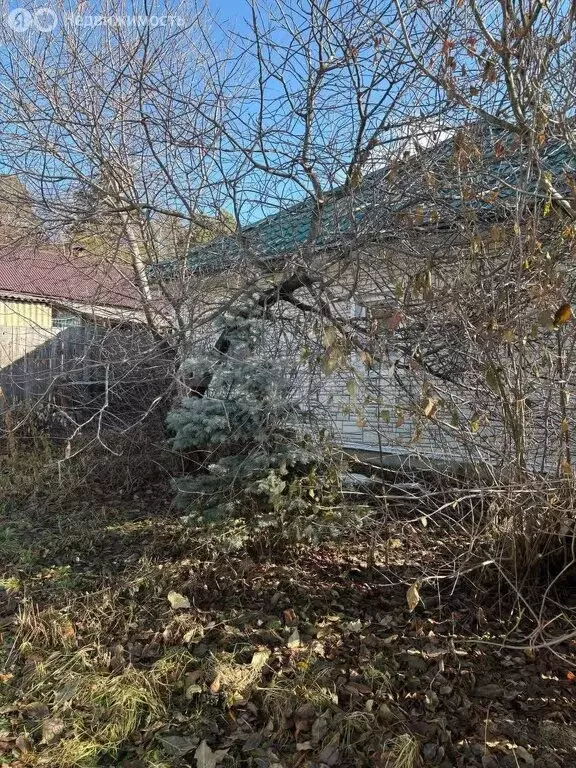 Дом в Большая Речка, 4-я Советская улица (100 м) - Фото 1