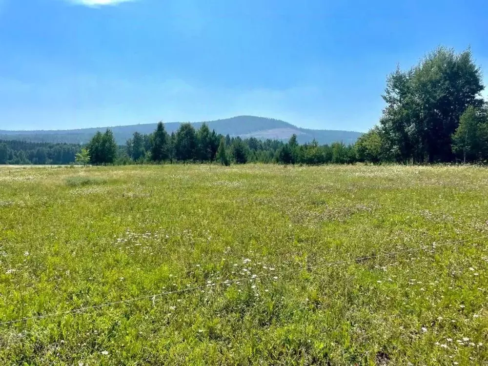 Участок в Иркутская область, Шелеховский район, Баклашинское ... - Фото 0