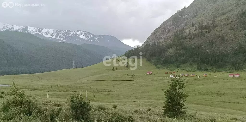 Участок в Улаганский район, село Акташ (100.3 м) - Фото 1