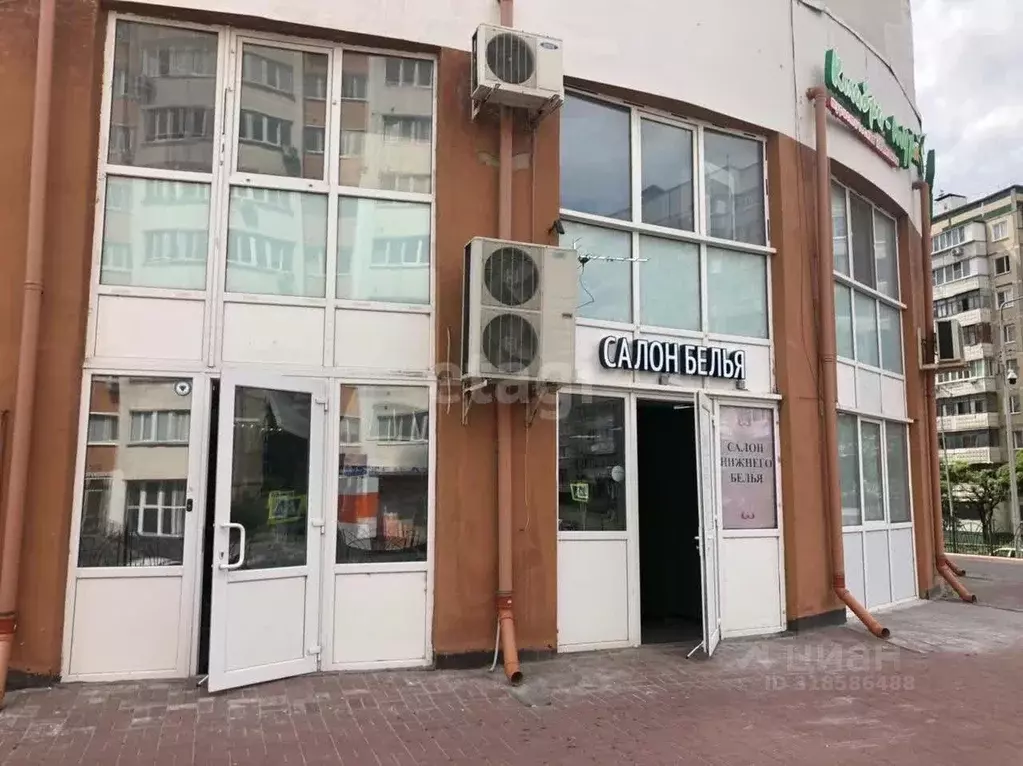 Офис в Белгородская область, Белгород ул. Победы, 165 (177 м) - Фото 2