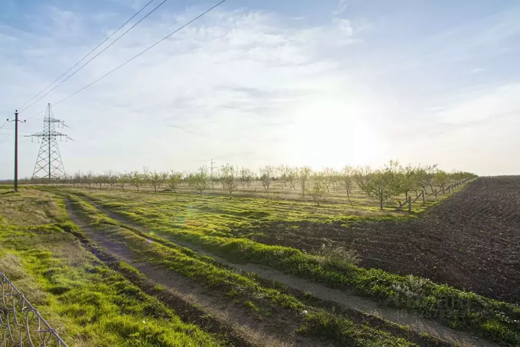 Участок в Крым, Бахчисарайский район, с. Тенистое  (355.0 сот.) - Фото 1